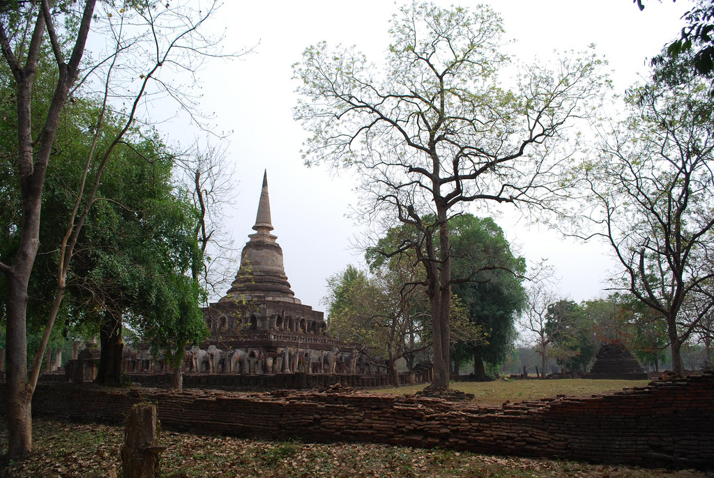 Wat Chang Lom ruins - tree - Si Satchanalai. Flickr, Alpha