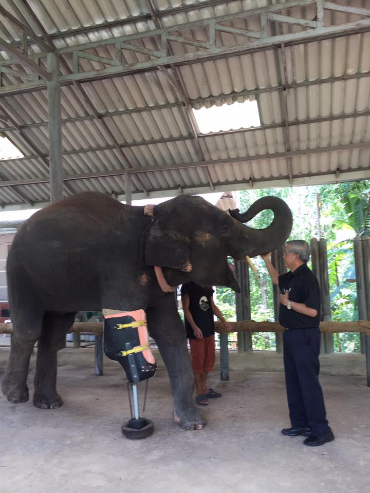 Friends of the Asia Elephant foundation 01